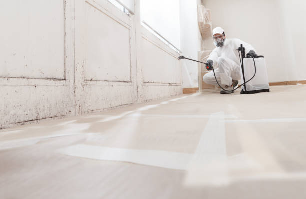 24/7 Emergency Basement Mold Remediation experts in Conshohocken, PA