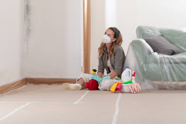 Reliable Basement Mold Remediation contractor in Conshohocken, PA by WQB Mold Removal