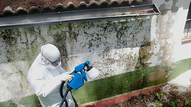 Top rated local Basement Mold Remediation specialists in Conshohocken, PA